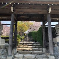 境内の風景